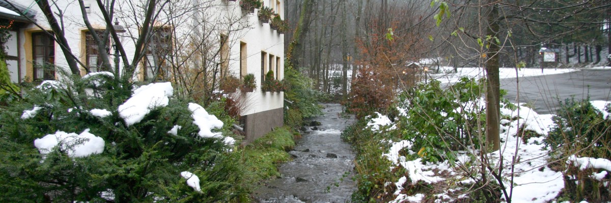 Rengser Mühle Restaurant Café Hotel Bergneustadt Bergisches Land Bergische Kaffeetafel Naturschutz Wandern Umgebung Erholung Wald Landschaft Winter