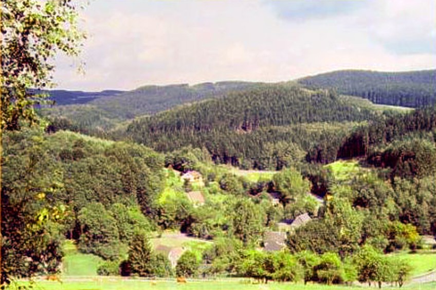 Bergisches Land Naturschutzgebiet Rengser Mühle Umgebung Natur Wald Wandern Impressionen